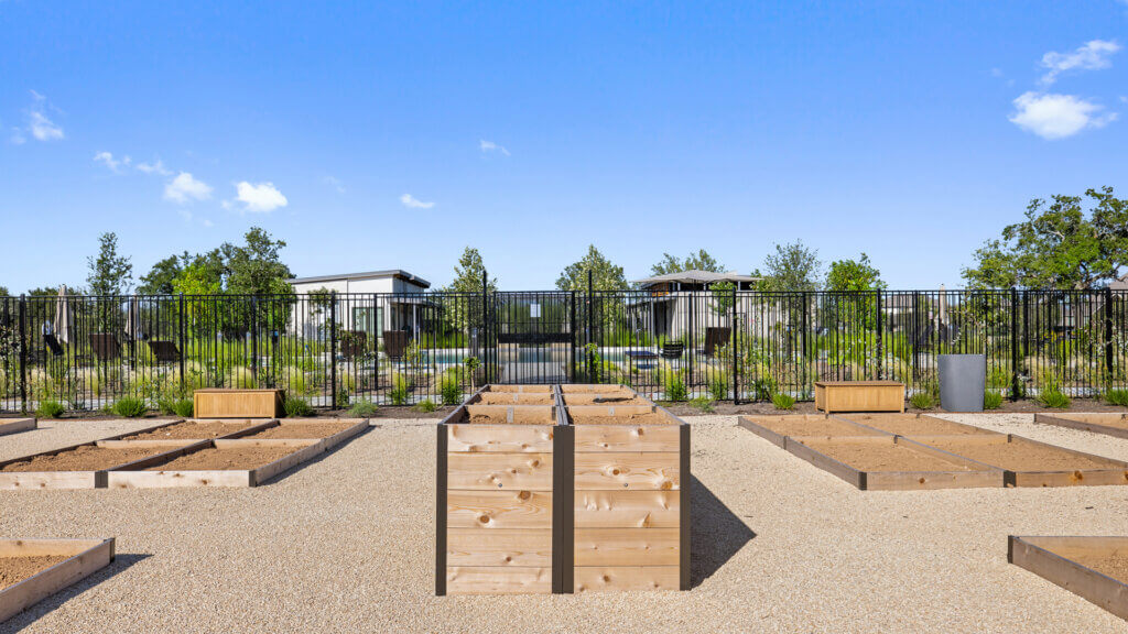 Anthem's Amenity Center Community Garden Photo